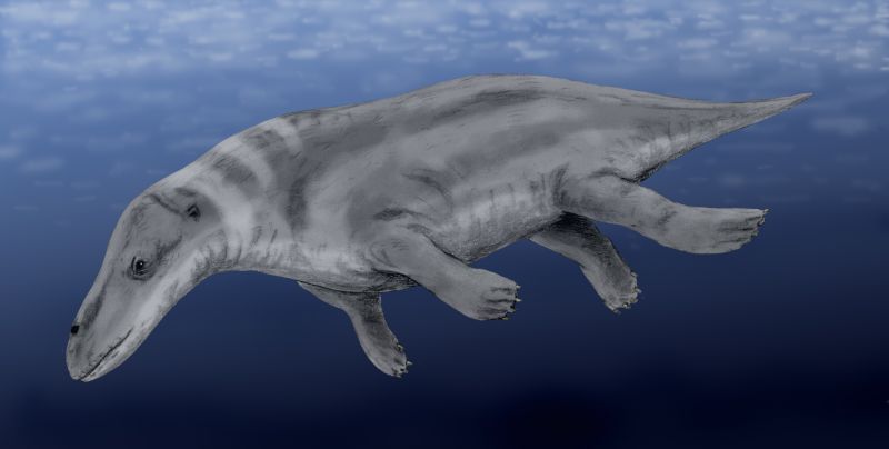 Image: Artist rendering of ancient whale.